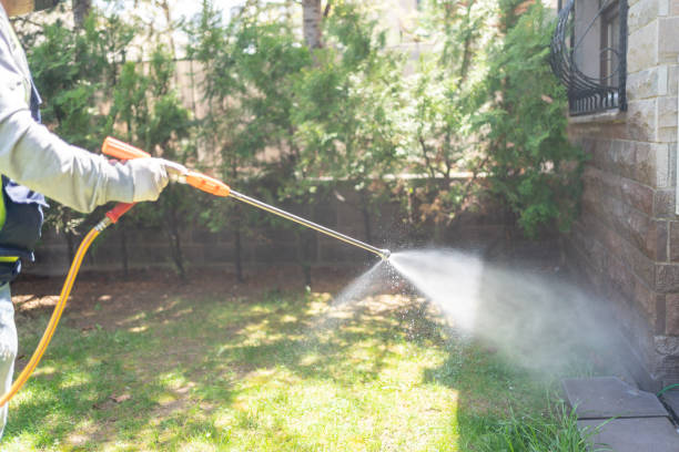 Best Pest Prevention Services  in Camp Wood, TX