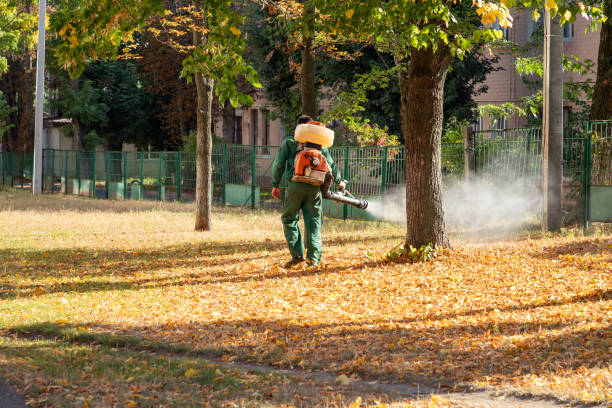 Flea Control Services in Camp Wood, TX